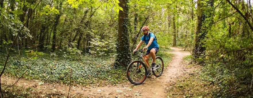 MTB Bikes