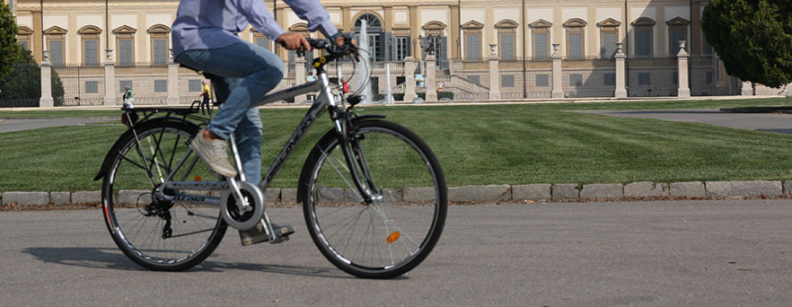 Trekking Bikes