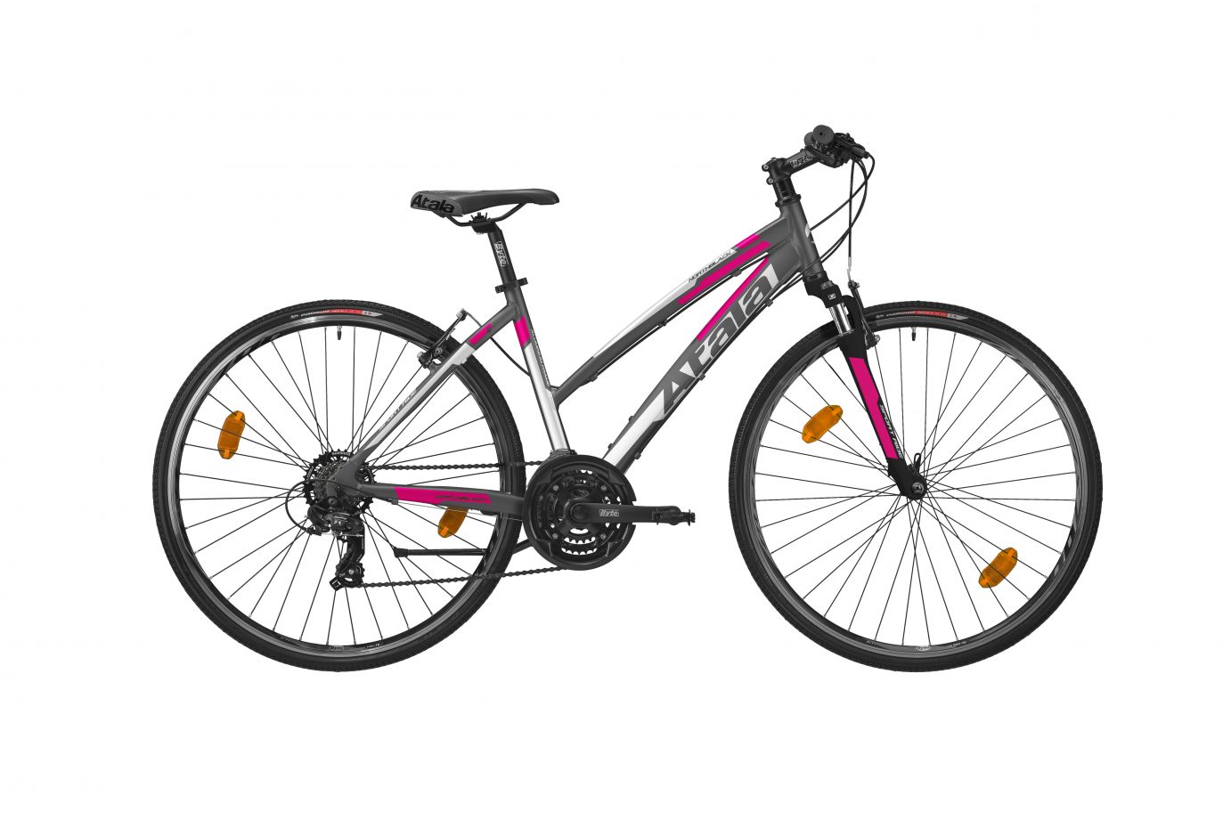 Atala NORTH BLACK LADY 1