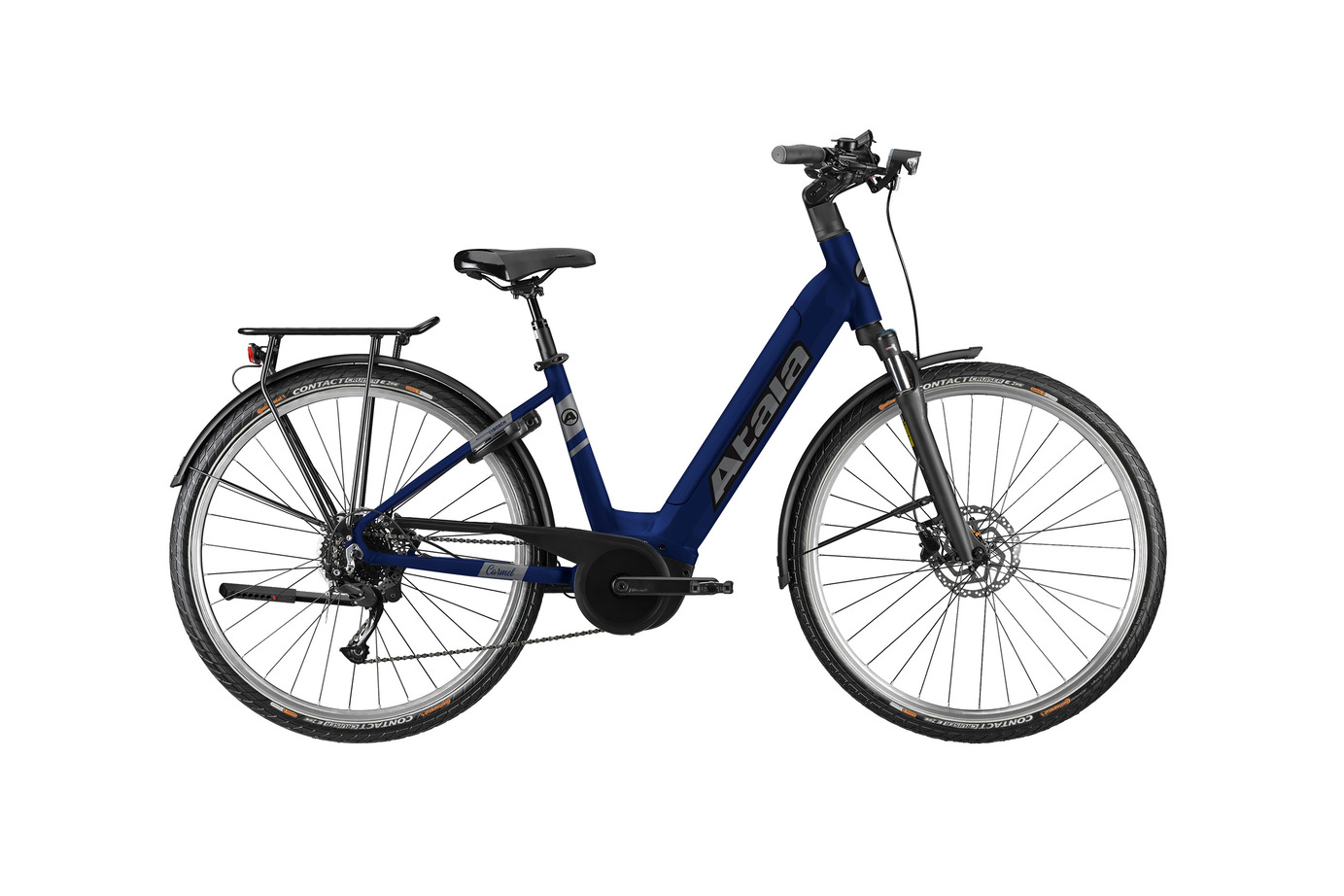 Atala B-Carmel 1