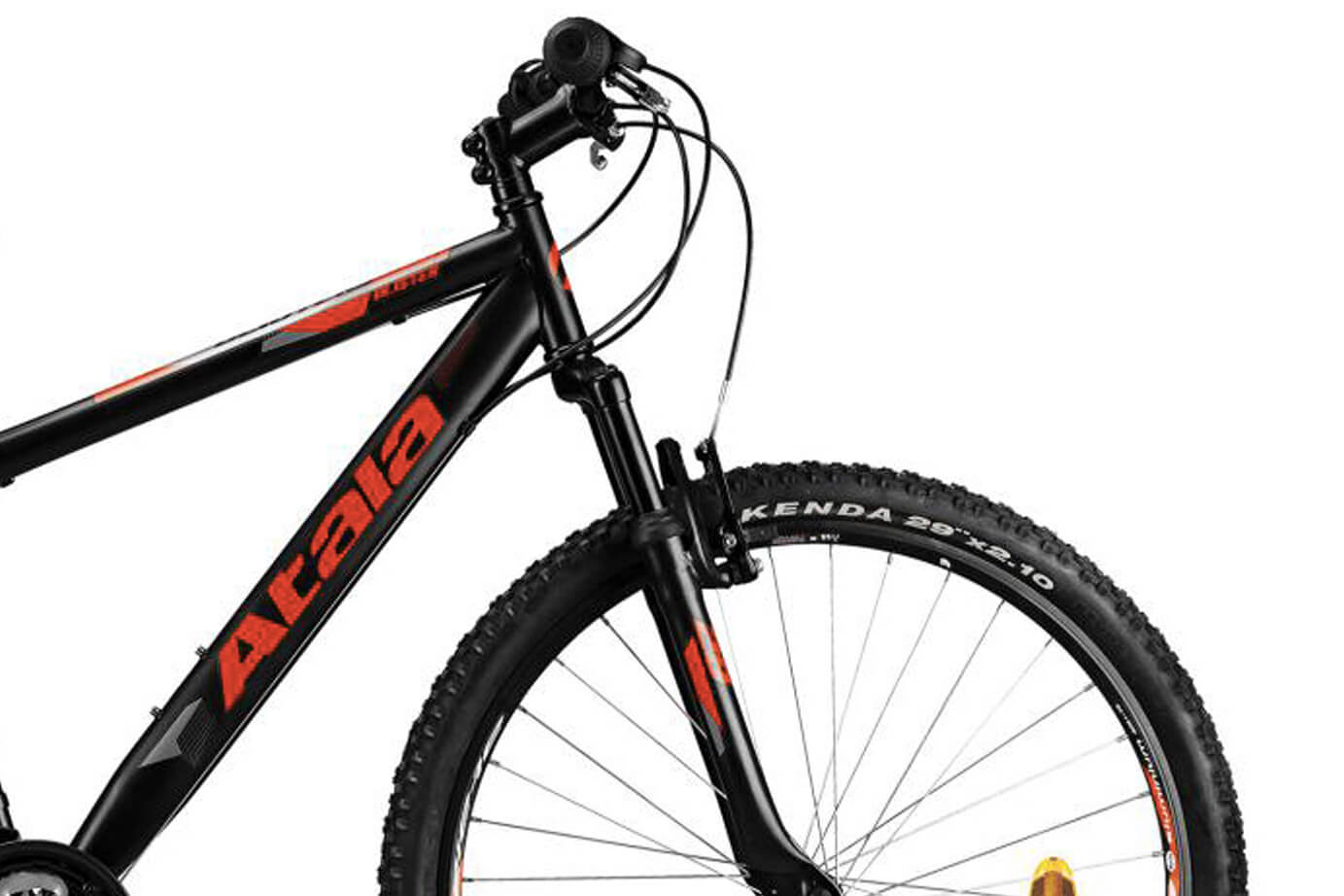 Atala Blister 29 2