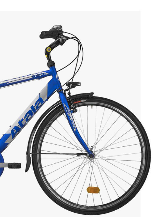 Atala BOSTON 6V MAN 4