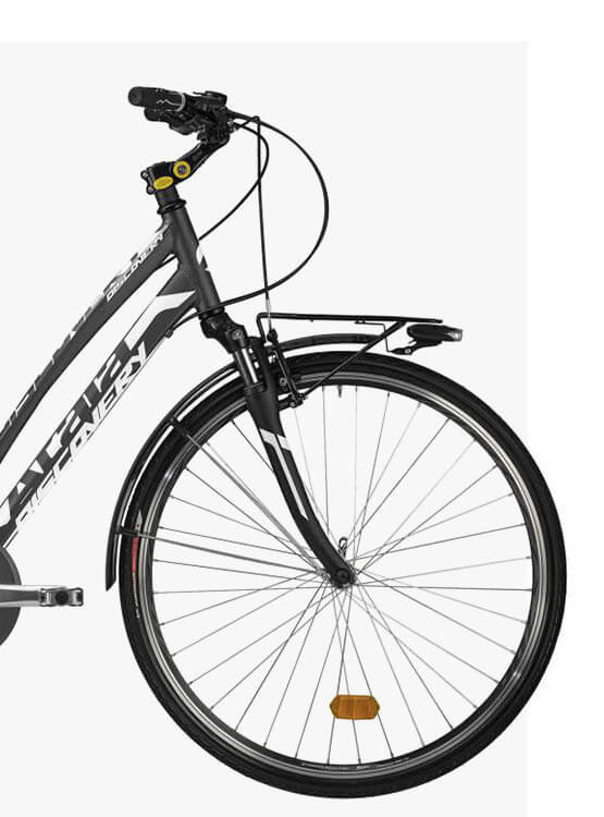 Atala DISCOVERY FS 21V Lady 4