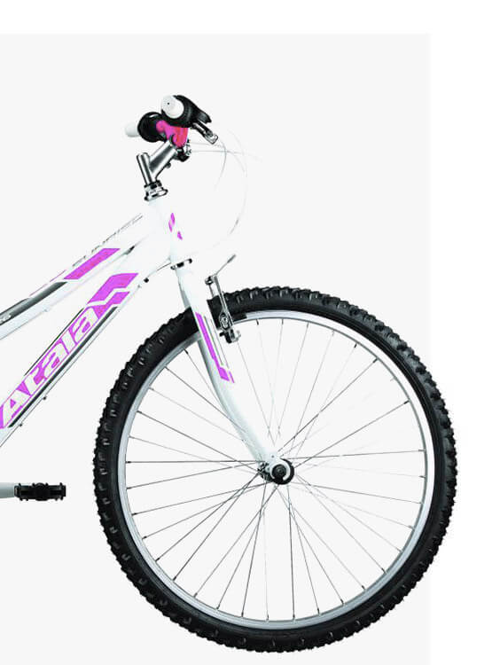 Atala Sunrise 4