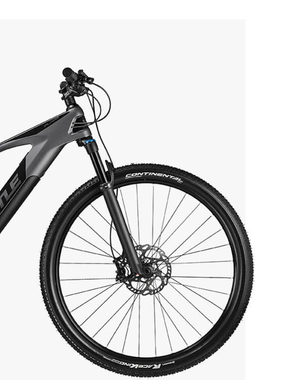 Atala Flame 4